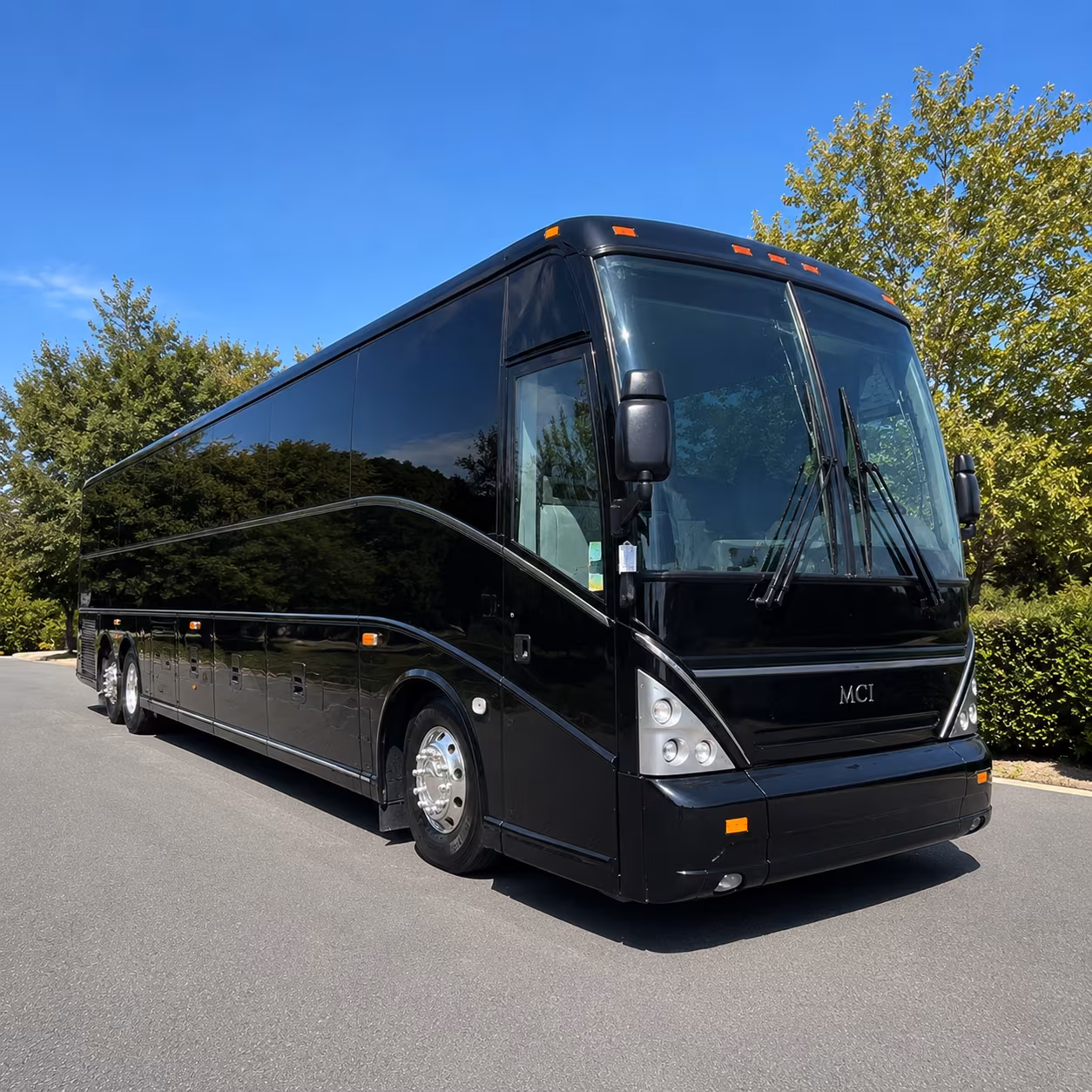 book the perfect ride for your next bachelor or bachelorette party 2