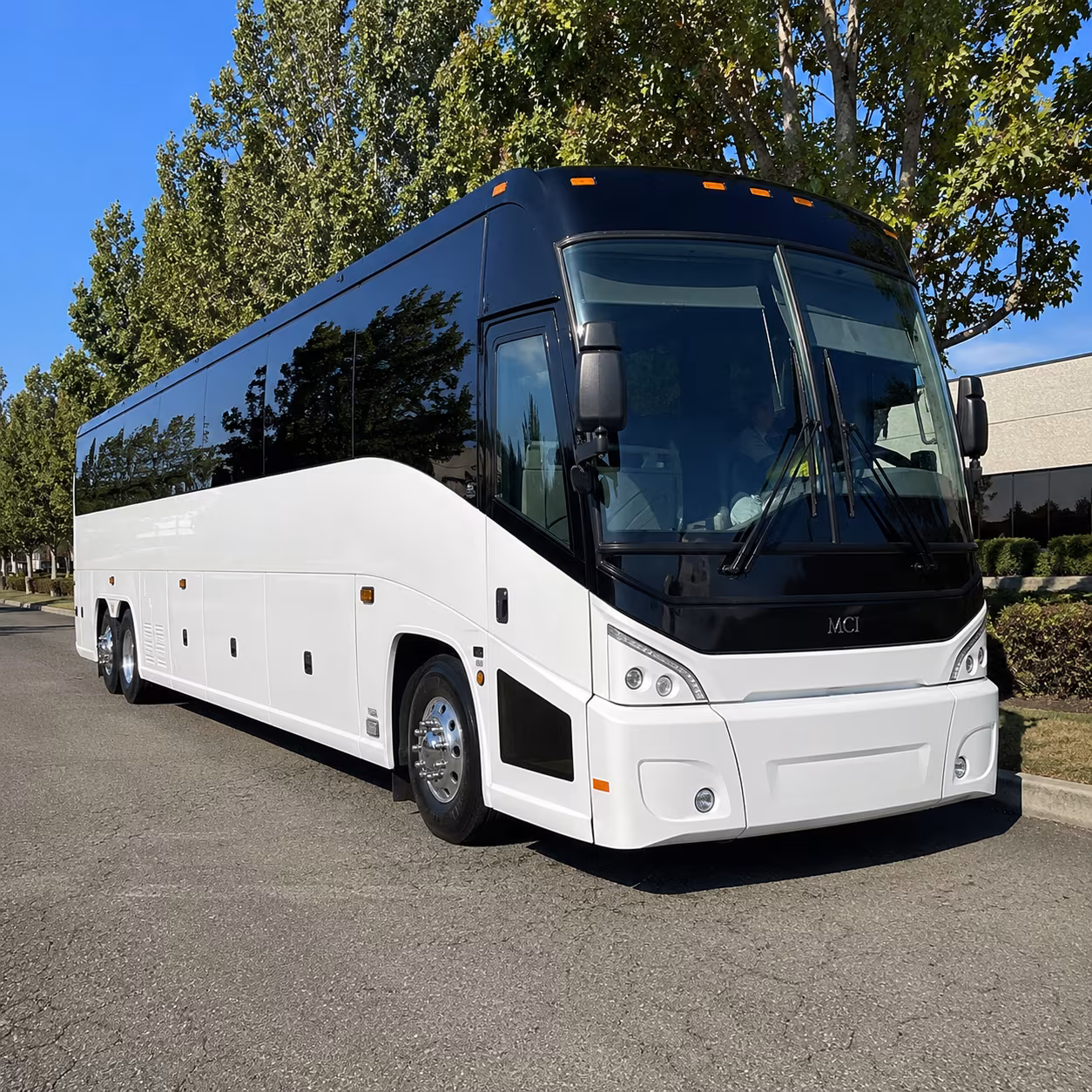 lynchburg 50 passenger charter bus