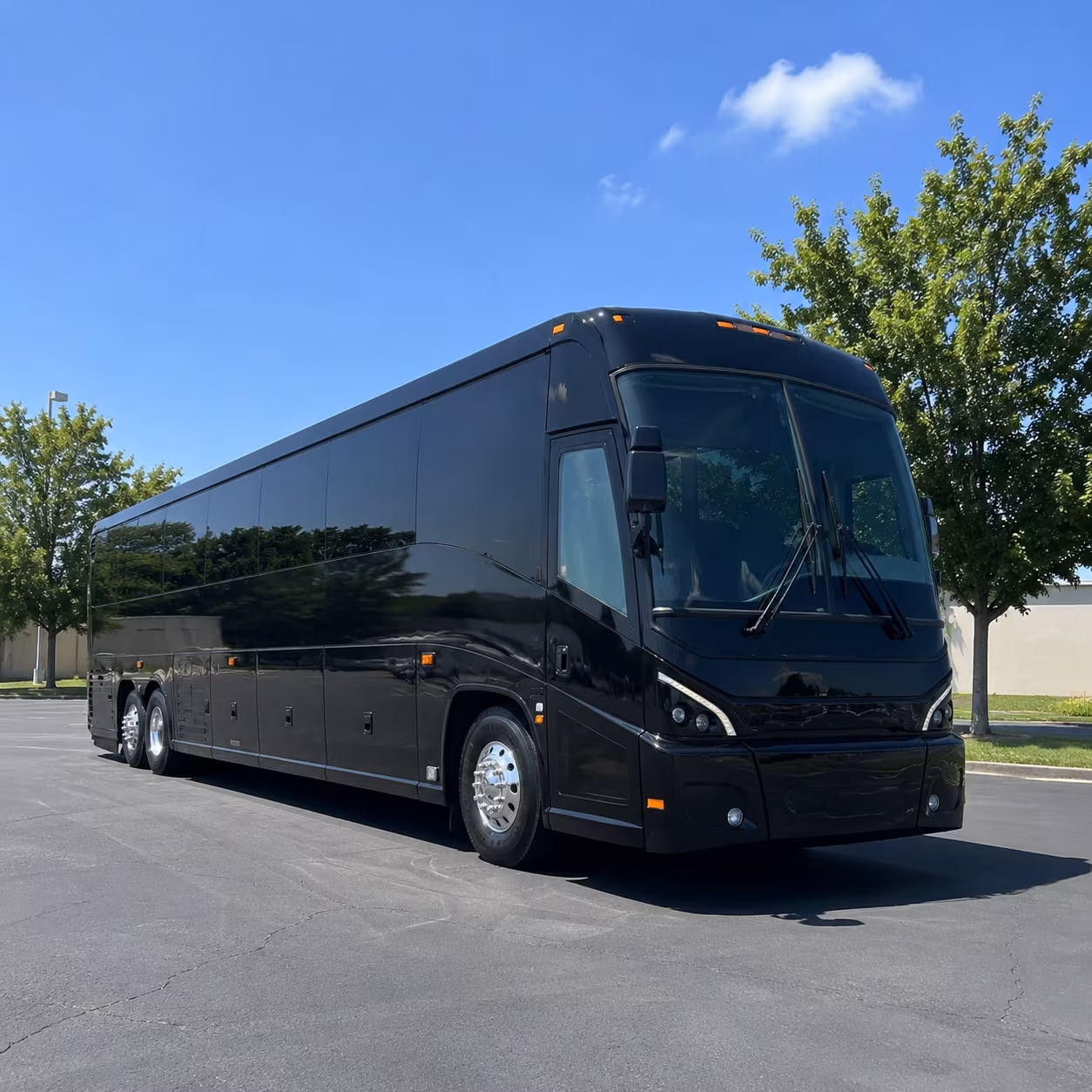 lynchburg 56 passenger charter bus